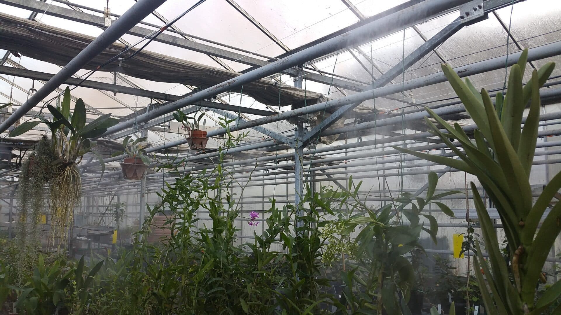 Agriculture 3